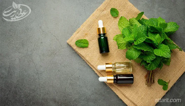 خواص عرق نعناع برای لاغری+ لاغری سالم و سریع با عرق نعنا