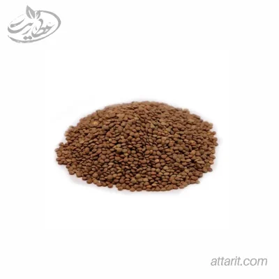 عدس ریز