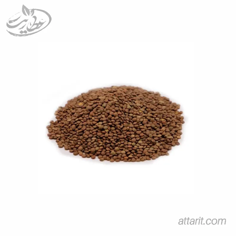 عدس ریز عدس ریز