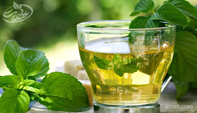 عرق نعناع برای سردی معده