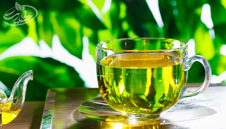 خواص چای سبز برای تنبلی تخمدان