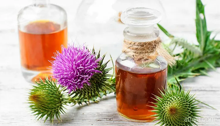 عرق خار مریم برای چی خوبه؟