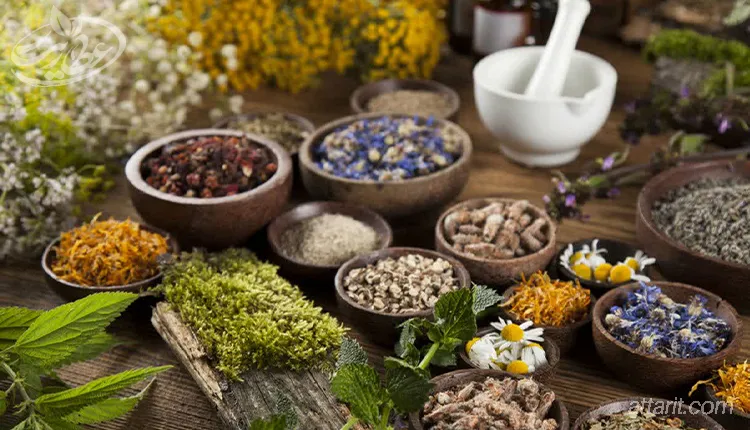گیاهان دارویی برای عفونت